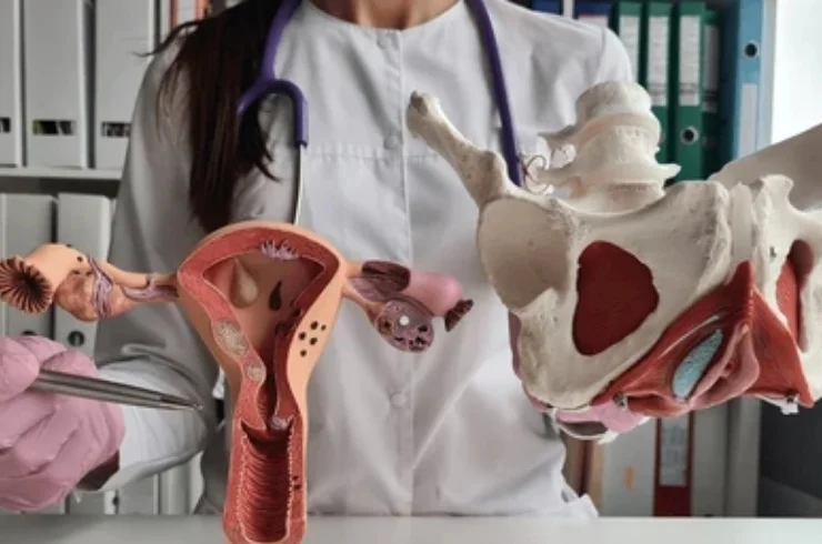 Pelvic-Floor-Disorders-0.webp