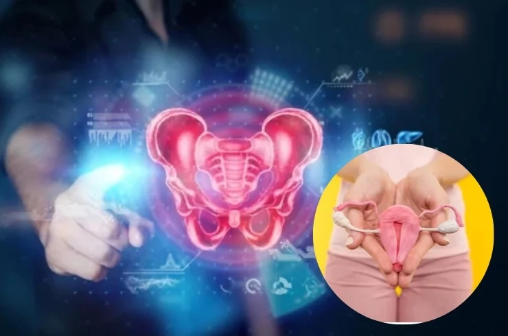 Pelvic-Uterine-Health-0.webp